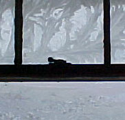 [frost, window latch]