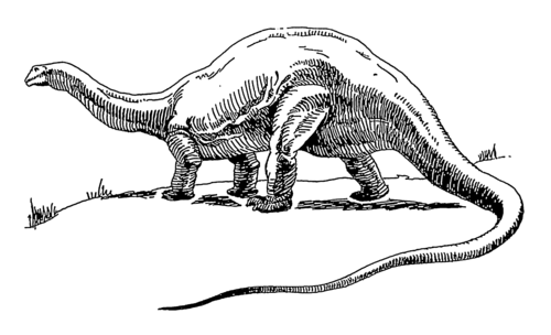 brontosaurus is rad